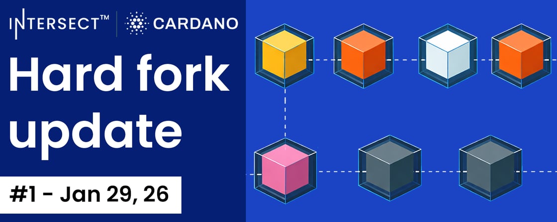 Hard fork update  v10